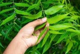 Neem Leaves Benefits, Ayurvedic neem uses, neem for immunity, neem for skin health, benefits of eating neem leaves empty stomach, how neem controls blood sugar, neem for digestion and weight loss, neem leaves for hair and oral health"