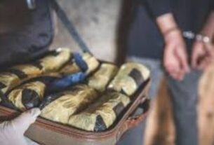 Cochin Airport: ,hybrid ganja seized,Customs Air Intelligence Unit