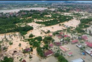 Indonesia Floods, Indonesia floods, Sumatra floods 2025, Aceh province, Pidie Jaya, Meureudu, flash floods, death toll 950, landslides, Sumatran elephant, debris clearing, food shortage, medicine shortage, climate change, deforestation, disaster relief, BNPB, UNICEF