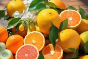 Right Time To Eat Oranges , oranges, right time to eat oranges, when to eat oranges, wrong time to eat oranges, when not to eat oranges, oranges health benefits, oranges harmful effects, side effects of oranges, how to eat oranges, संतरा, संतरा खाने का सही समय, संतरा खाने का गलत समय, संतरा खाने का सही तरीका, संतरा खाने के फायदे, संतरा खाने के नुकसान, किस समय संतरा खाना फायदेमंद, संतरे का सेवन करने के साइड इफेक्ट्स