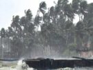 Weather Update , #CycloneDitwa, #DeepDepression, #Meteorology, #WeatherAlert, #IndiaWeather, #StormTracking, #ClimateNews, #NaturalDisasters, #WeatherForecast,