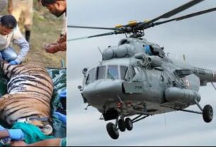 Pench Tiger Reserve, Rajasthan Kota Pench Tiger Reserve Madhya Pradesh helicopter interstate air transfer wildlife conservation Jaipur Airport Ramgarh Tiger