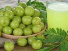 Amla Benefits, Which diseases are cured by drinking Amla juice, which is better, Amla juice or raw Amla, Which diseases are cured by drinking Amla juice, which is better, Amla juice or raw Amla, Which diseases are cured by drinking Amla juice, which is better, Amla juice or raw Amla, raw Amla or Amla juice