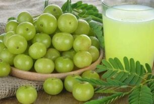 Amla Benefits, Which diseases are cured by drinking Amla juice, which is better, Amla juice or raw Amla, Which diseases are cured by drinking Amla juice, which is better, Amla juice or raw Amla, Which diseases are cured by drinking Amla juice, which is better, Amla juice or raw Amla, raw Amla or Amla juice
