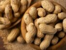 Peanuts Health Benefits, Peanuts, Peanuts Health Benefits, Health Benefits of Peanuts, Peanuts in winter, why to eat Peanuts, how to eat Peanuts, moongfali khane ke fayde, moongfali,