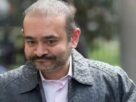 Nirav Modi, Nirav Modi India, Nirav Modi Case Updates