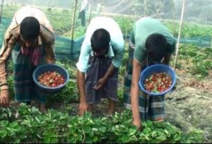 Sell Crops Online Without Middlemen, Farmers sell crops online,Digital mandi for farmers,Direct crop selling platform India,Crop price without middlemen,Online agricultural marketplace,e-NAM farmers platform,Best price for crops online,Farmers direct buyer