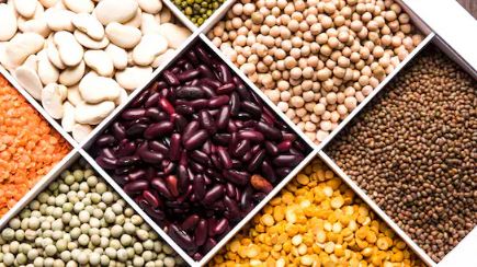 Most Powerful Lentils, "Most Powerful Lentils, Which lentils are most powerful, lentils, Which lentils are best for health, Which lentils have most protein, protein rich lentils,