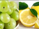 Amla or Lemon Health Benefits, amla, lemon, amla or lemon, amla vs lemon, When to eat amla, When to eat lemon, amla health benefits, lemon health benefits, आंवला, नींबू, आंवला खाने के फायदे, नींबू के फायदे, आंवला या नींबू, आंवला ज्यादा फायदेमंद है या फिर नींबू, कब खाएं आंवला, नींबू का सेवन कब करना चाहिए"
