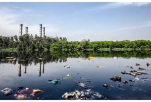 Madhya Pradesh: "Contaminated water wreaks havoc! Complaints ignored for years, many lives lost."