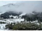 Himachal Pradesh: Bad weather will prevail in Himachal Pradesh for five days, with rain and snowfall expected from January 16 to 20.