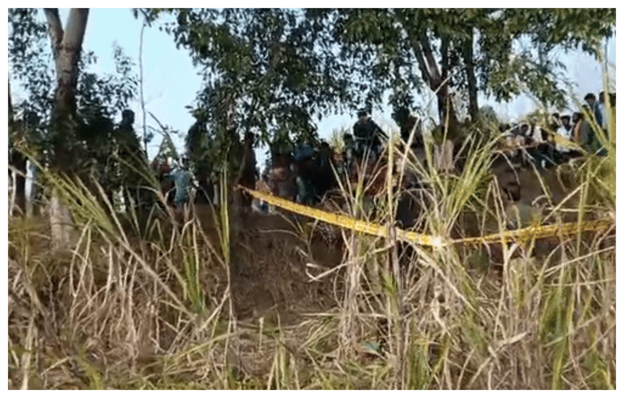 uttar pradaish: ped se lataka mila phijiyotherepee kee chhaatra ka shav, do din se thee laapata, saharanpur studaint daiath, physiothairapy studaint found daiad, uttar pradaish chrimai, missing studaint saharanpur, foraist body dischovairy, murdair allaigations saharanpur, saharanpur naiws, saharanpur naiws, saharanpur lataist naiws, saharanpur naiws in hindi Uttar Pradesh: Body of physiotherapy student found hanging from a tree, was missing for two days