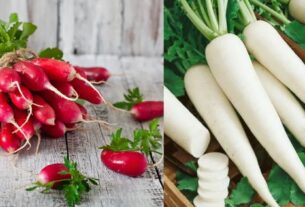 White And Red Mooli Ke Fayde, Which is better, red or white radish, What is the difference between a radish and a mooli, What is a white radish, Red and white muli me antar uses, Red and white muli me antar benefits, Red radish in hindi, White radish in hindi, Red and white radish Benefit, Red and white radish nutrition, कौन सी मूली अच्छी है, लाल या सफेद, लाल मूली खाने के क्या फायदे हैं, मूली कितने प्रकार की होती है, लाल मूली के क्या फायदे हैं, सफेद मूली, लाल और सफेद मूली में अंतर