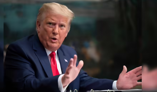 US Tariffs, Us federal appeals court, president donald trump, trump tariffs, us president emergency powers, us tariffs india, supreme court of us, explained news, international emergency economic powers act, us constitution, World News in Hindi, World News in Hindi, World Hindi News,