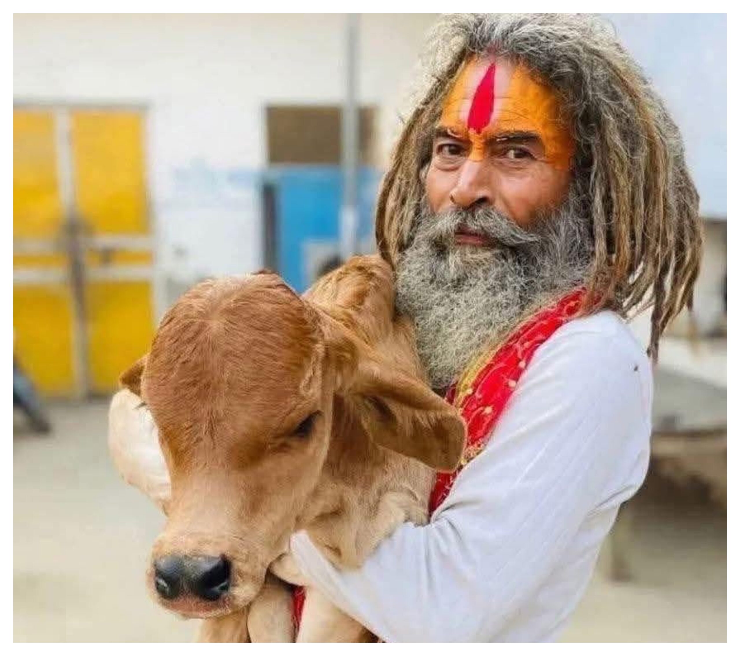 Uttar Pradesh: Protests and stone-pelting after the death of 'cow protector', several policemen injured