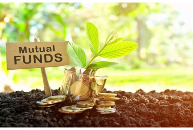 Equity Mutual Fund: Investment in equity mutual funds rose 8% to reach 25,978 crore rupees