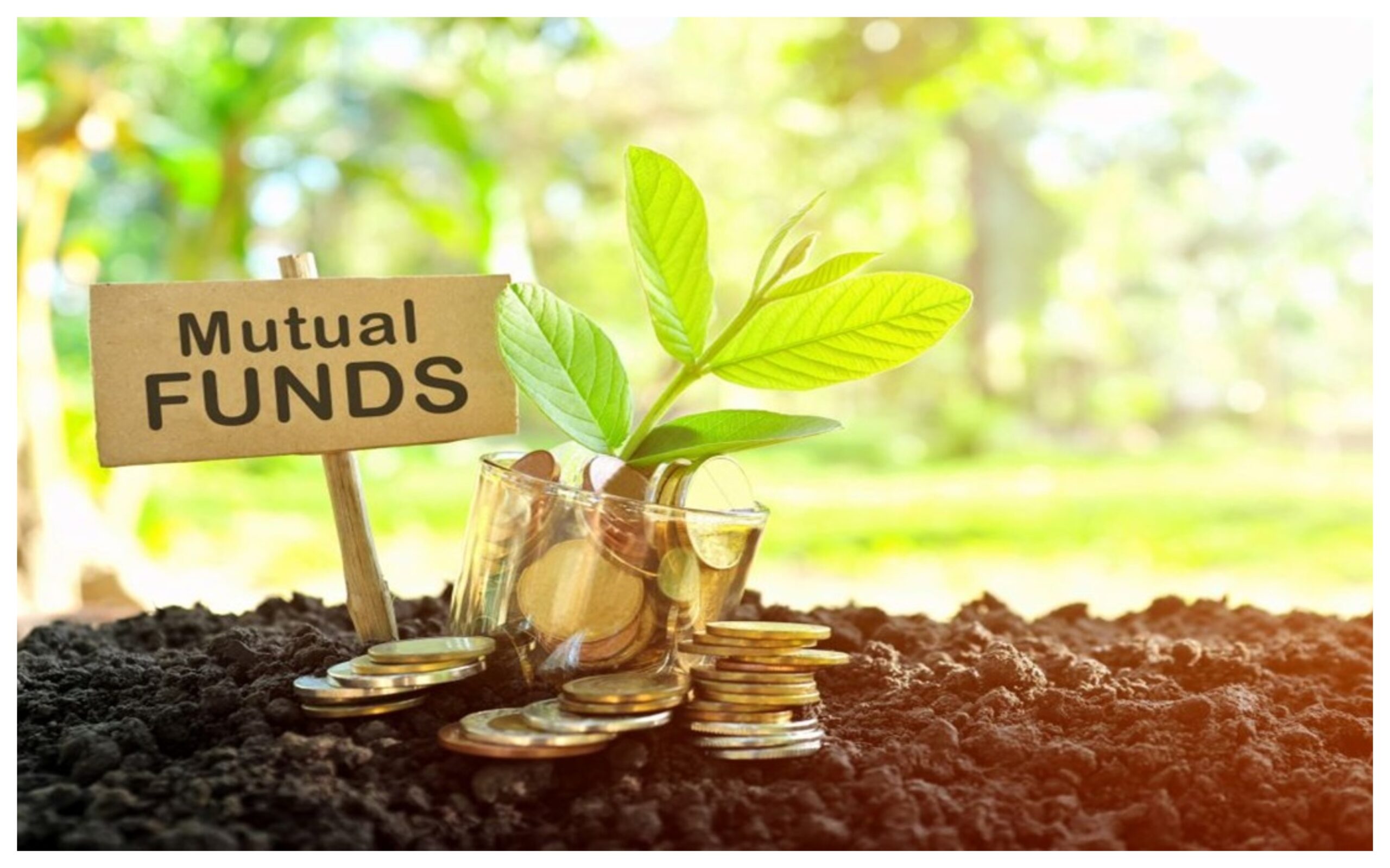 Equity Mutual Fund: Investment in equity mutual funds rose 8% to reach 25,978 crore rupees
