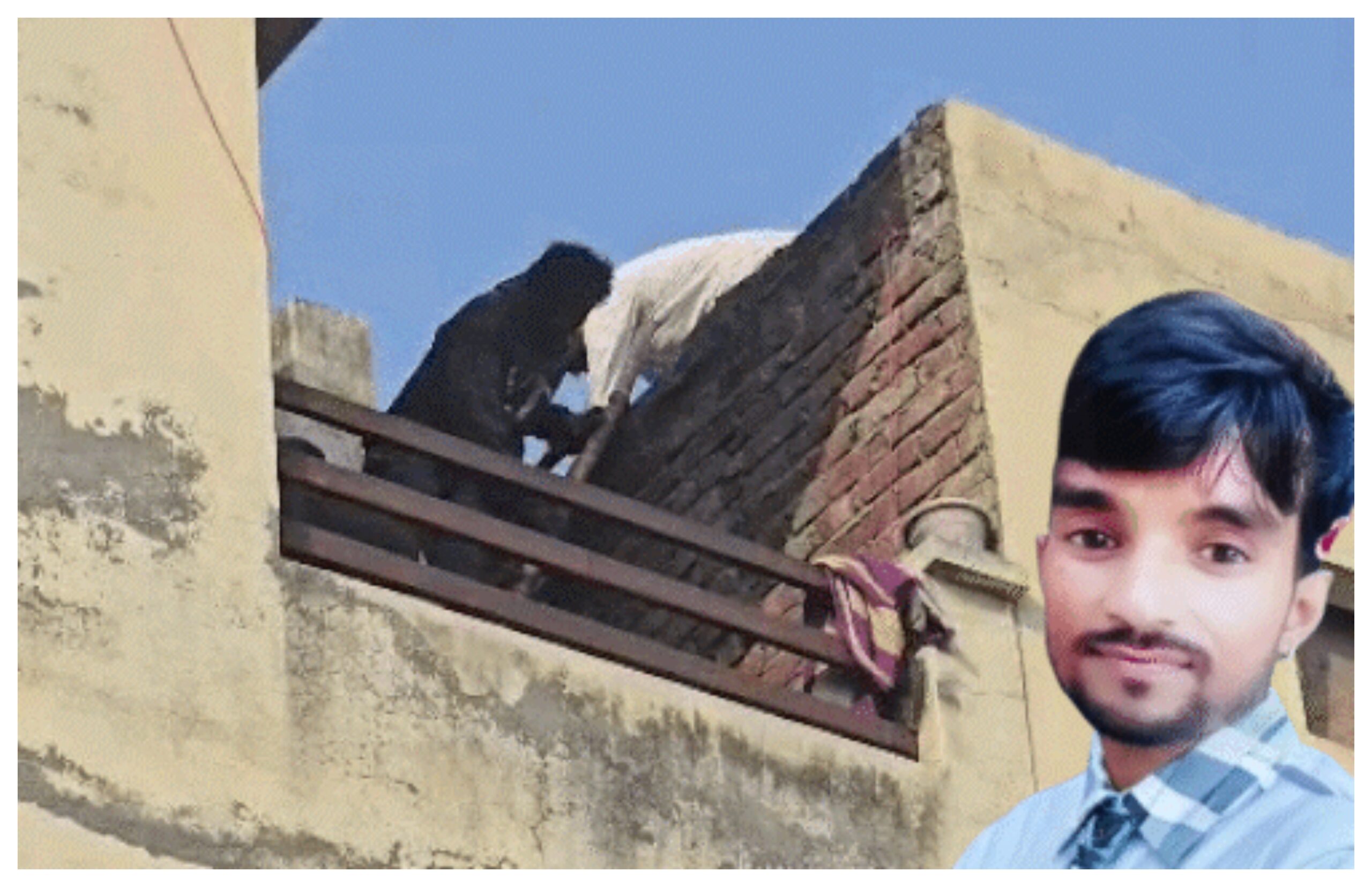 Yamunanagar: Girlfriend and her son murdered a young man, police revealed