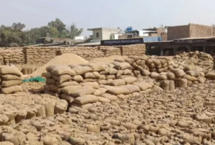 Basmati Export, West Asia conflict, Iran Israel war, Punjab Basmati, Haryana Basmati, Indian rice exporters, agricultural crisis, Middle East trade, export losses, Chandigarh, Chandigarh News, Chandigarh Latest News, Chandigarh News in Hindi, Chandigarh Samachar"