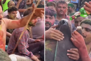 Haryana Viral Video, Alleges Cow Forcefully Made To Drink Alcohol During Holi Celebrations In Haryana Netizens Got Angry, Haryana, Holi, holi 2026, Happy holi, होली 2026, हैप्पी होली, होली का पर्व, होली का हुड़दंग, गाय को जबरन पिलाई शराब, हरियाणा होली, होली में गाय को पिलाई शराब, शर्मनाक, वायरल वीडियो, ट्रेंडिंग वीडियो, ट्रेंडिंग वायरल वीडियो, Trending viral video, shocking video