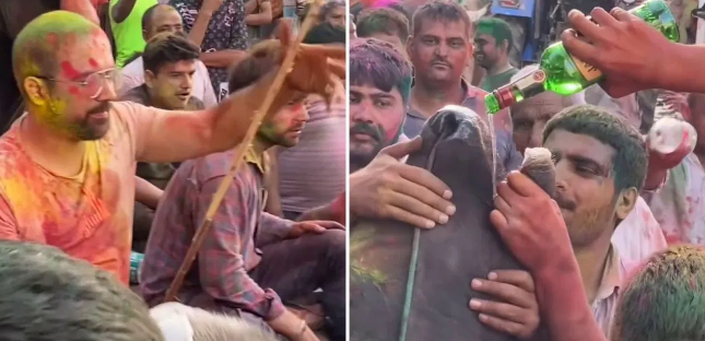 Haryana Viral Video, Alleges Cow Forcefully Made To Drink Alcohol During Holi Celebrations In Haryana Netizens Got Angry, Haryana, Holi, holi 2026, Happy holi, होली 2026, हैप्पी होली, होली का पर्व, होली का हुड़दंग, गाय को जबरन पिलाई शराब, हरियाणा होली, होली में गाय को पिलाई शराब, शर्मनाक, वायरल वीडियो, ट्रेंडिंग वीडियो, ट्रेंडिंग वायरल वीडियो, Trending viral video, shocking video