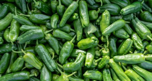 Green Chilli Benefits, green chilli nutrition, green chilli health, chilli metabolism boost, capsaicin benefits, green chilli immunity, chilli vitamin c, green chilli digestion, chilli weight loss, green chilli antioxidants, chilli health tips, green chilli diet, spicy food benefits,हरी मिर्च के फायदे, हरी मिर्च से सेहत पर असर, हरी मिर्च से पोषण, हरी मिर्च से मेटाबॉलिज्म, हरी मिर्च से इम्यूनिटी, हरी मिर्च विटामिन सी, हरी मिर्च से पाचन बेहतर हाेता है, हरी मिर्च वजन घटाना, हरी मिर्च कैप्साइसिन, हरी मिर्च पोषक तत्व, हरी मिर्च हेल्थ टिप्स, हरी मिर्च डाइट, हरी मिर्च खाना, हरी मिर्च लाभ" />