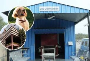 Ahmedabad Dog, crematorium,cng-based dog crematorium gujarat,pet cremation service ahmedabad,eco-friendly dog cremation india,amc pet crematorium facility,dog cremation cost rs 700,scientific pet disposal methods,municipal pet funeral services,gujarat animal welfare initiatives,dignified farewell for ahmedabad dog crematorium,cng-based dog crematorium gujarat,pet cremation service ahmedabad,eco-friendly dog cremation india,amc pet crematorium facility,dog cremation cost rs 700,scientific pet disposal methods,municipal pet funeral services,gujarat animal welfare initiatives,dignified farewell for pets,rites