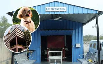 Ahmedabad Dog, crematorium,cng-based dog crematorium gujarat,pet cremation service ahmedabad,eco-friendly dog cremation india,amc pet crematorium facility,dog cremation cost rs 700,scientific pet disposal methods,municipal pet funeral services,gujarat animal welfare initiatives,dignified farewell for ahmedabad dog crematorium,cng-based dog crematorium gujarat,pet cremation service ahmedabad,eco-friendly dog cremation india,amc pet crematorium facility,dog cremation cost rs 700,scientific pet disposal methods,municipal pet funeral services,gujarat animal welfare initiatives,dignified farewell for pets,rites
