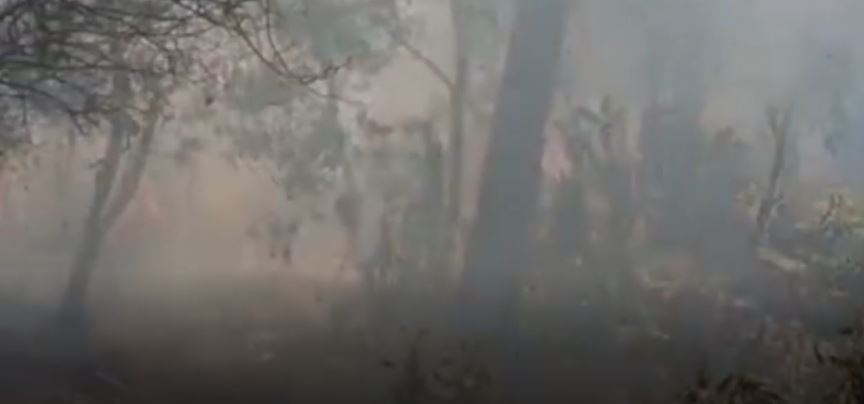 Uttarakhand Fire: