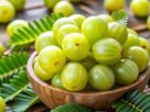 Amla Benefits, Health tips , health benefit , Gonda news , local 18 , uttarpradesh news , latest hindi news , local news , Amla Benefits in Summer , Indian Gooseberry Benefits , Immunity Booster Amla