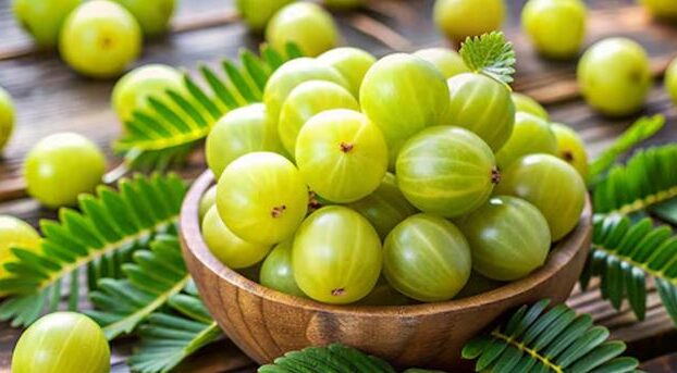 Amla Benefits, Health tips , health benefit , Gonda news , local 18 , uttarpradesh news , latest hindi news , local news , Amla Benefits in Summer , Indian Gooseberry Benefits , Immunity Booster Amla