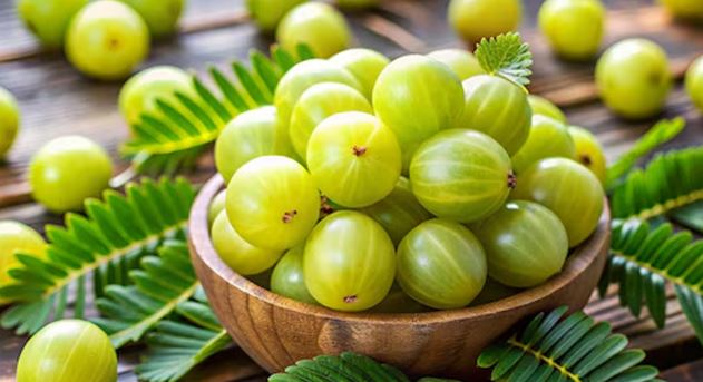 Amla Benefits, Health tips , health benefit , Gonda news , local 18 , uttarpradesh news , latest hindi news , local news , Amla Benefits in Summer , Indian Gooseberry Benefits , Immunity Booster Amla