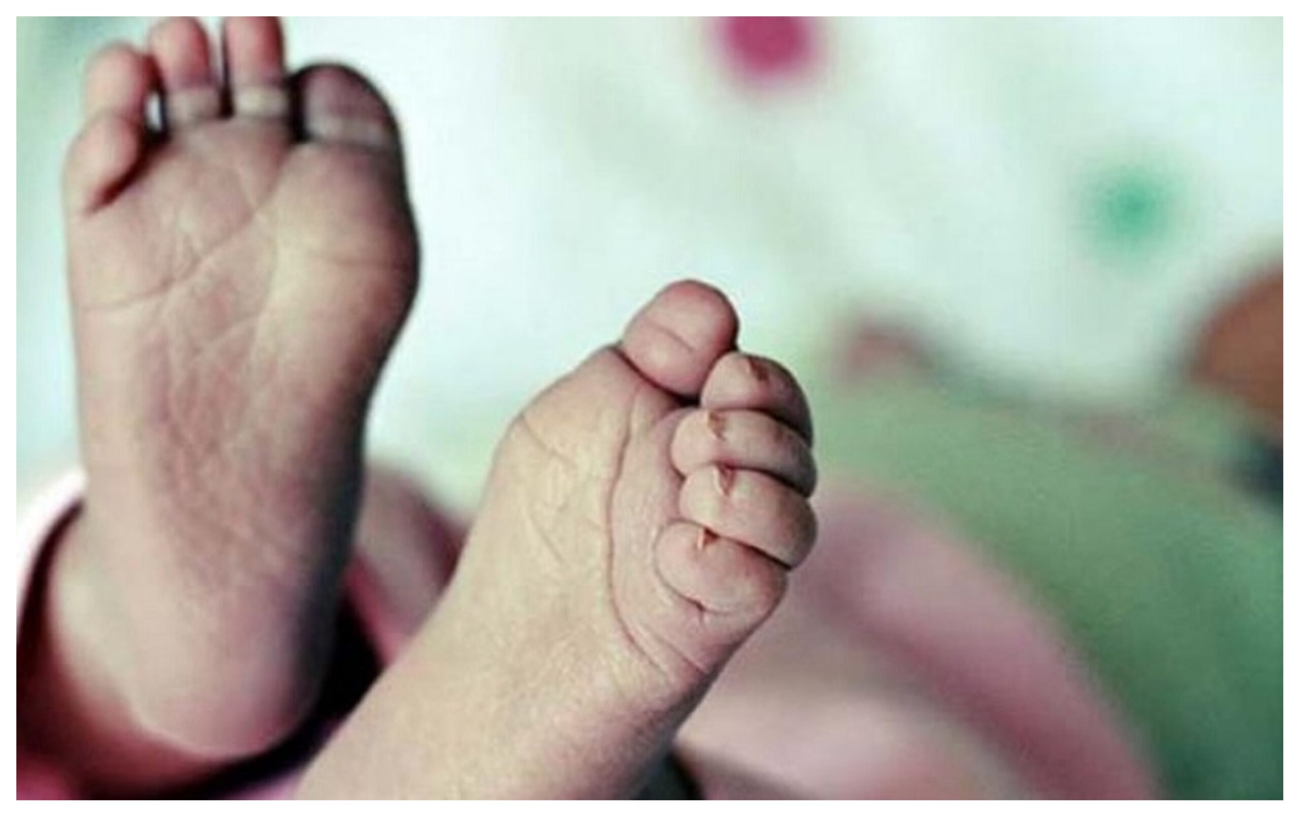 Haryana: Maternal Love Defeated by Hunger! Mother Takes the Life of Her Innocent Daughter; Financial Hardship Cited as the Cause.