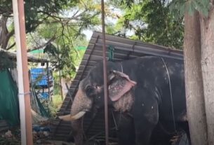 Kerala