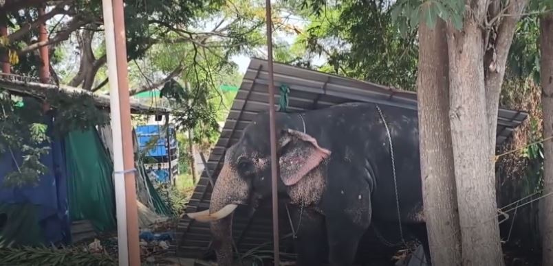Kerala
