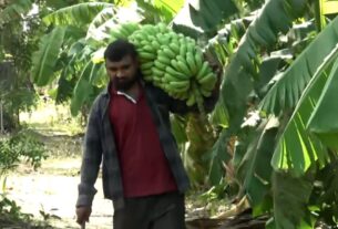 GUJARAT: