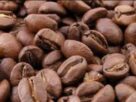 India Coffee Exports 2026 , robusta coffee demand India, instant coffee export growth, arabica coffee decline India, coffee export data India