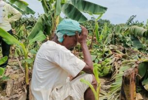 Tamil Nadu: 