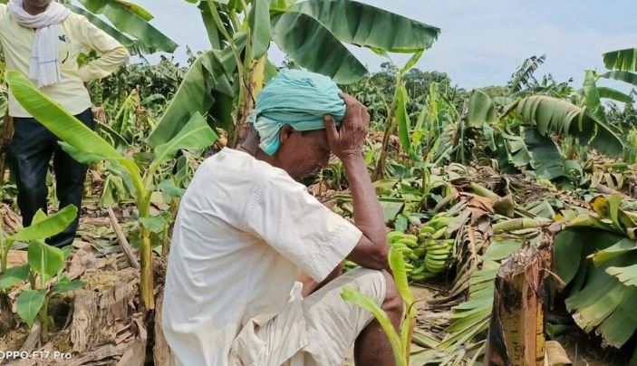 Tamil Nadu: 