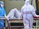 Nipah virus