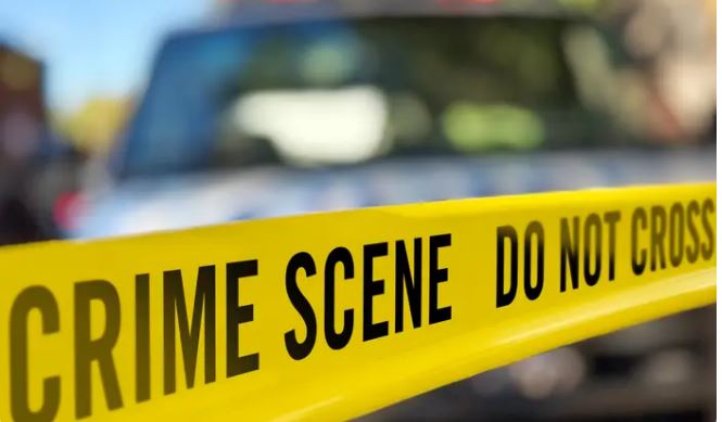 Crime News: