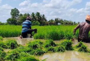 Tamil Nadu: