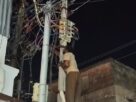 TAMIL NADU: