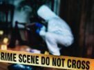 Crime News: