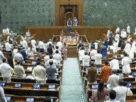 Parliament Protests