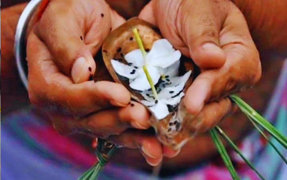 Bhadrapada Amavasya