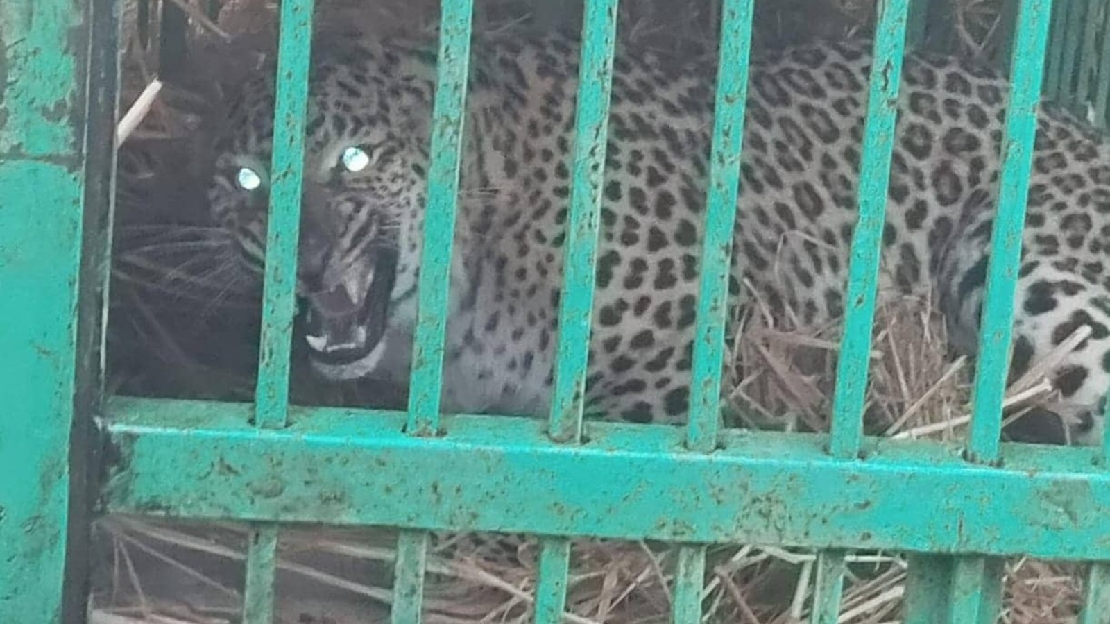 Uttar Pradesh